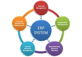 How ERP Systems Improve Productivity Across Organizations
