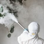 Pest Problem