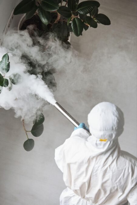 Pest Problem