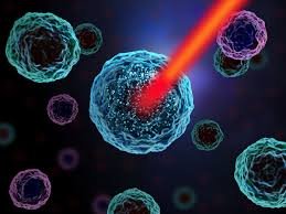 What You Need to Know About Single Cell Proteomics in 2026